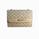 Gucci Skin Brown Soulder Bag With Metal Strap